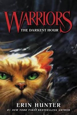 Warriors The Darkest Hour