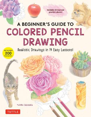 9 Drawing Tips for Beginner Coloured Pencil Artists