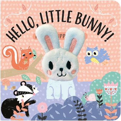 Hello Little Bunny Finger Puppet Book